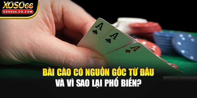 Bài cào có nguồn gốc từ đâu và vì sao lại phổ biến