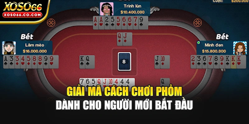 Giải mã cách chơi phỏm dành cho người mới bắt đầu
