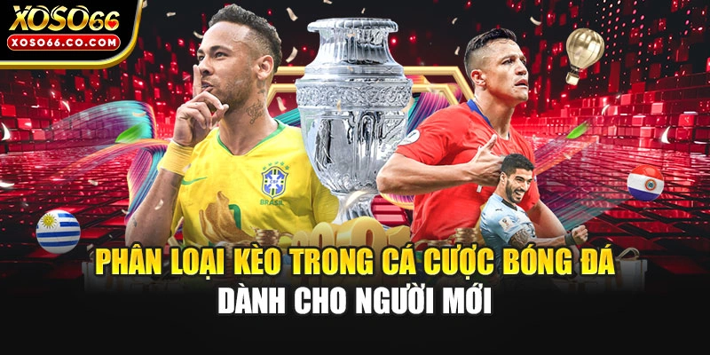 Phân loại kèo trong cá cược bóng đá dành cho người mới 